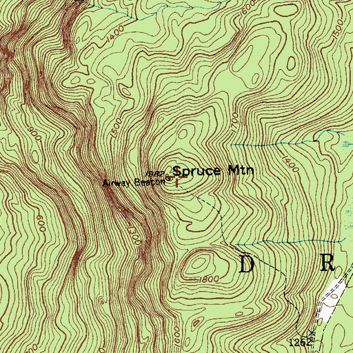 Topographic Map of Spruce Mountain, NY