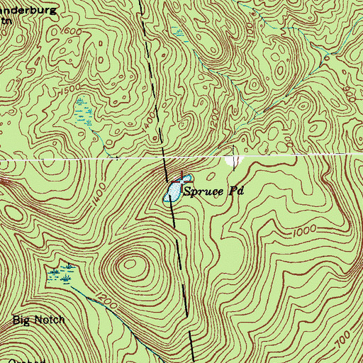 Topographic Map of Spruce Pond, NY
