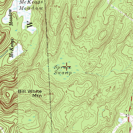 Topographic Map of Spruce Swamp, NY