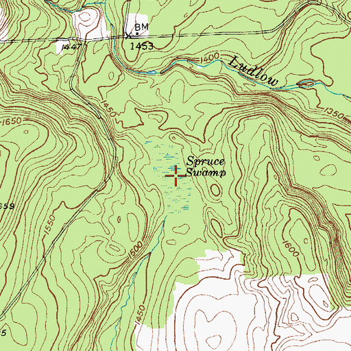 Topographic Map of Spruce Swamp, NY