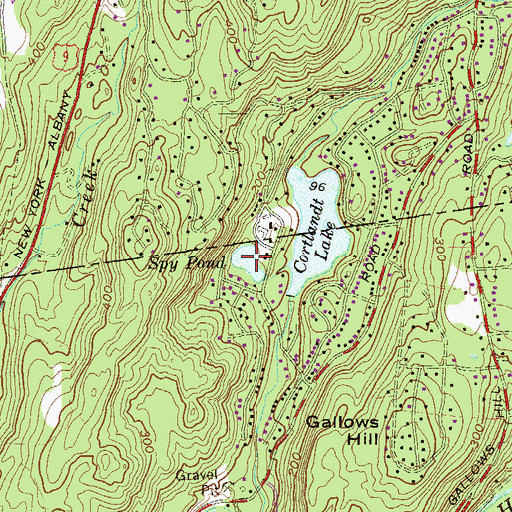 Topographic Map of Spy Pond, NY