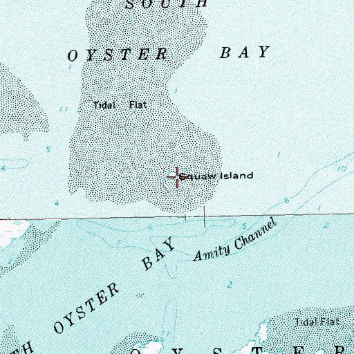 Topographic Map of Squaw Island, NY