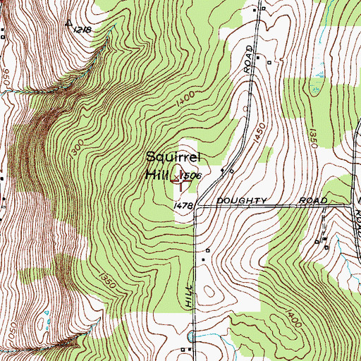 Topographic Map of Squirrel Hill, NY