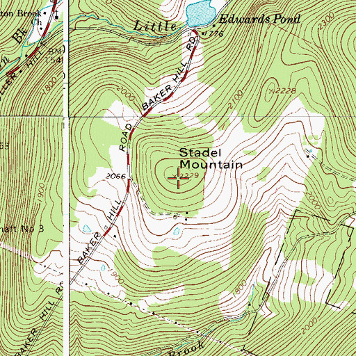 Topographic Map of Stadel Mountain, NY