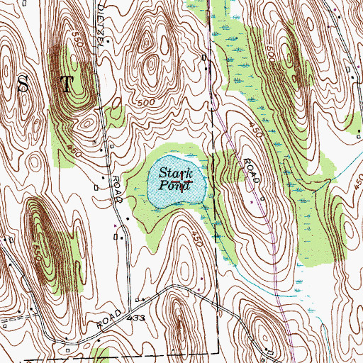 Topographic Map of Stark Pond, NY