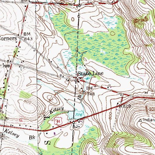 Topographic Map of State Line, NY