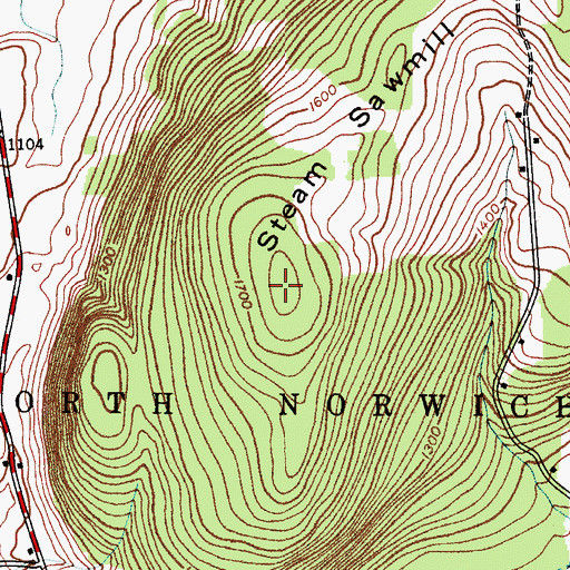 Topographic Map of Steam Sawmill Hill, NY