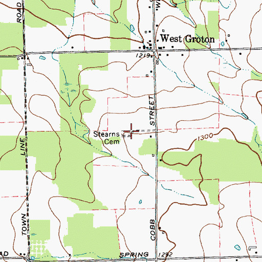 Topographic Map of Stearns Cemetery, NY