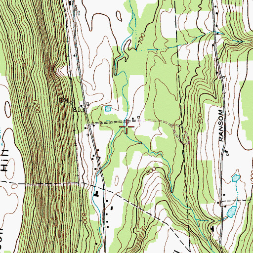 Topographic Map of Stebbins Gulf, NY