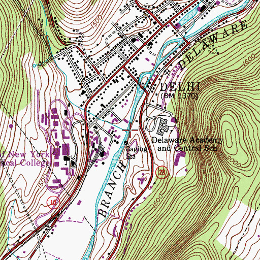Topographic Map of Steele Brook, NY
