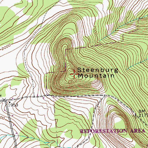 Topographic Map of Steenburg Mountain, NY