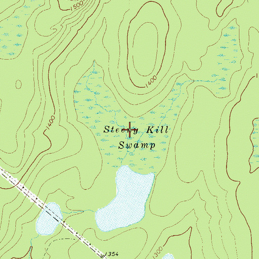 Topographic Map of Steeny Kill Swamp, NY