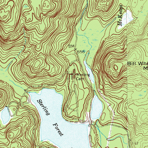 Topographic Map of Sterling Cemetery, NY