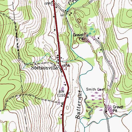 Topographic Map of Stetsonville, NY