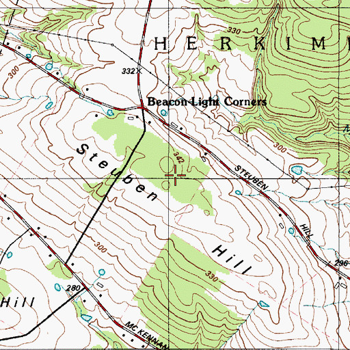 Topographic Map of Steuben Hill, NY