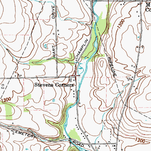 Topographic Map of Stevens Corners, NY