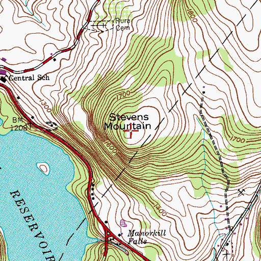Topographic Map of Stevens Mountain, NY