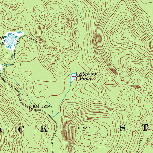 Topographic Map of Stevens Pond, NY