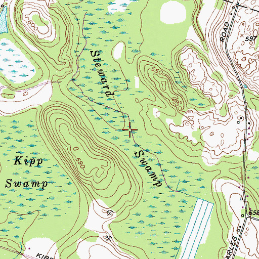 Topographic Map of Steward Swamp, NY