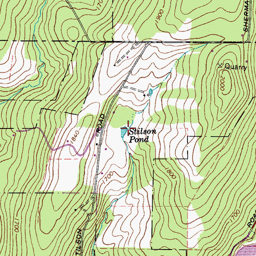 Topographic Map of Stilson Pond, NY