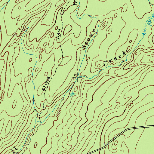 Topographic Map of Stone Dam Creek, NY