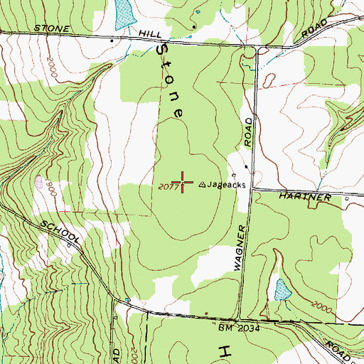 Topographic Map of Stone Hill, NY
