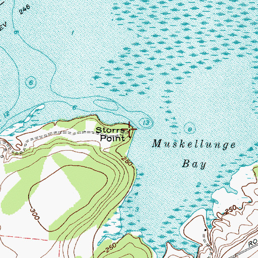 Topographic Map of Storrs Point, NY