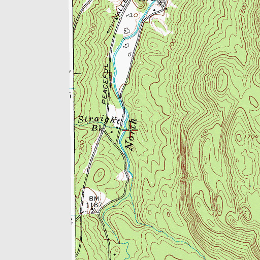 Topographic Map of Straight Brook, NY