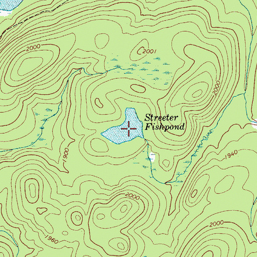 Topographic Map of Streeter Fishpond, NY