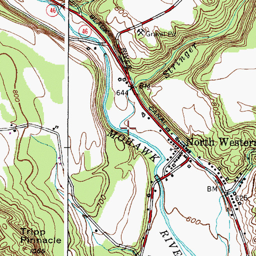 Topographic Map of Stringer Brook, NY