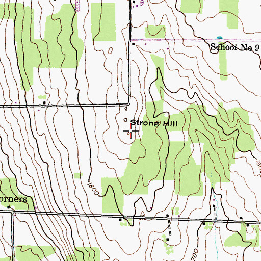 Topographic Map of Strong Hill, NY