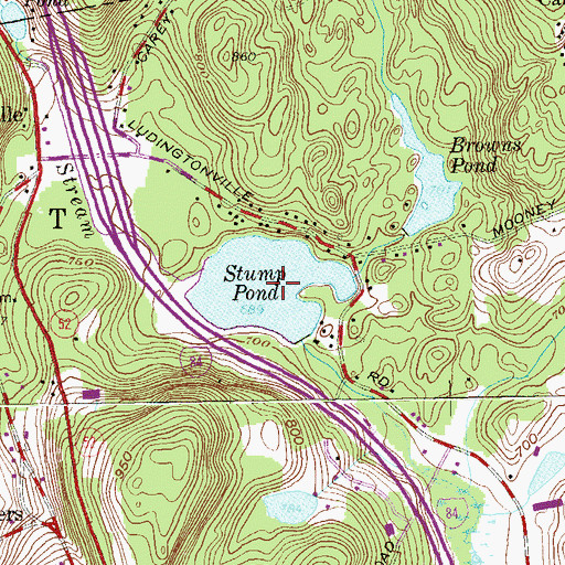 Topographic Map of Stump Pond, NY