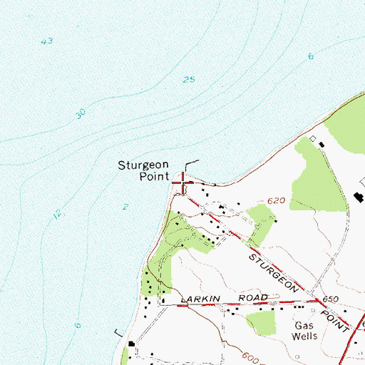 Topographic Map of Sturgeon Point, NY