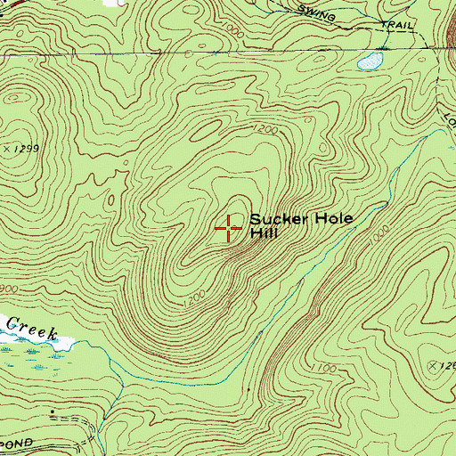 Topographic Map of Sucker Hole Hill, NY