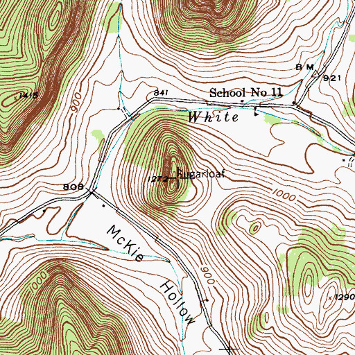 Topographic Map of Sugarloaf, NY
