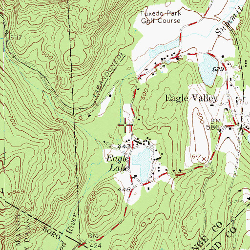 Topographic Map of Summit Brook, NY