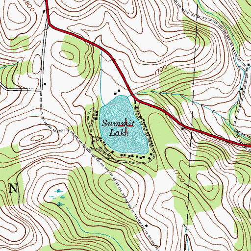 Topographic Map of Summit Lake, NY