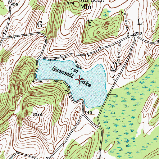Topographic Map of Summit Lake, NY