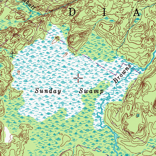 Topographic Map of Sunday Swamp, NY
