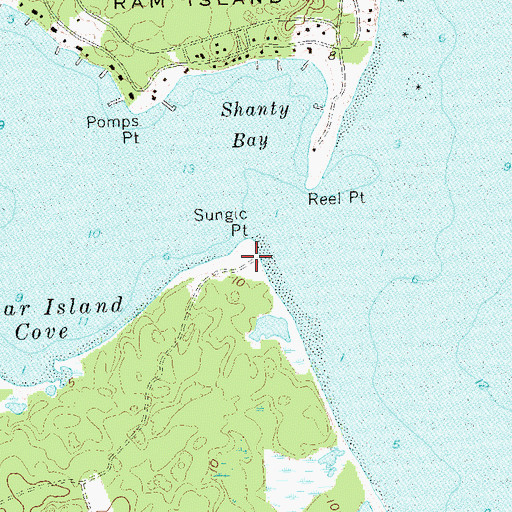 Topographic Map of Sungic Point, NY