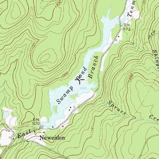 Topographic Map of Swamp Pond, NY