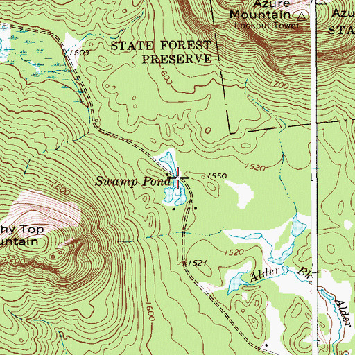 Topographic Map of Swamp Pond, NY