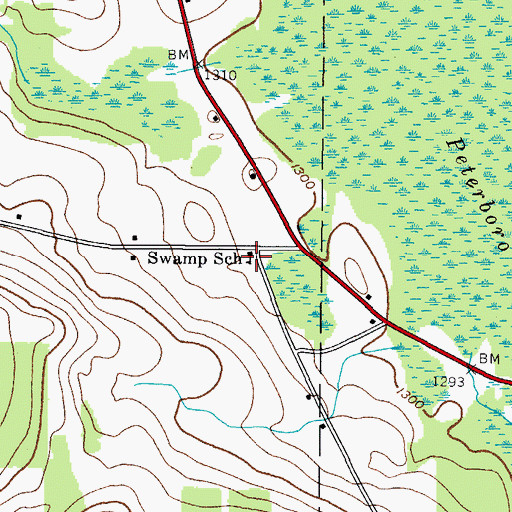 Topographic Map of Swamp School, NY