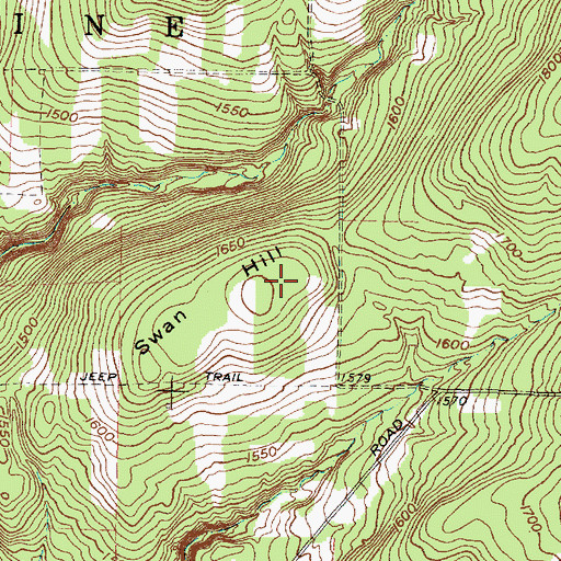 Topographic Map of Swan Hill, NY