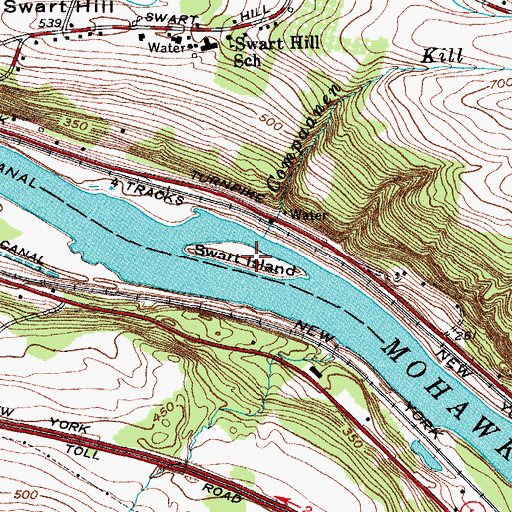 Topographic Map of Swart Island, NY