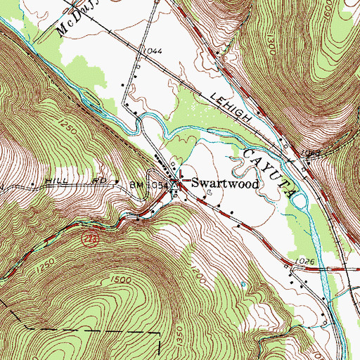 Topographic Map of Swartwood, NY