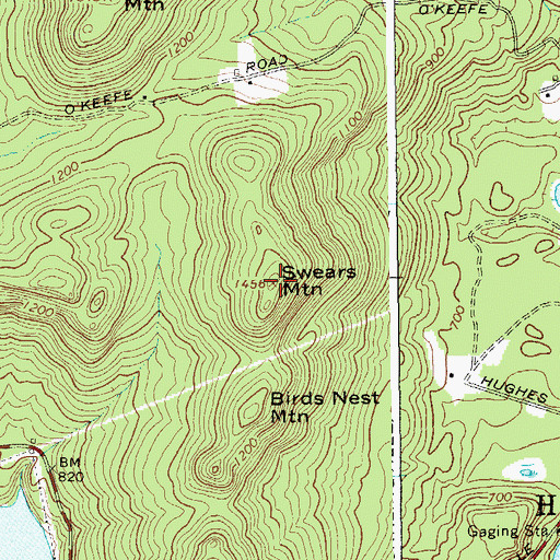 Topographic Map of Swears Mountain, NY