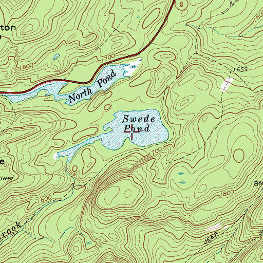 Topographic Map of Swede Pond, NY