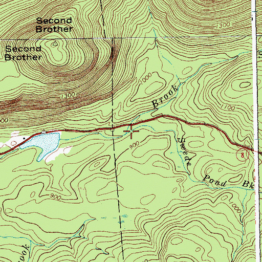 Topographic Map of Swede Pond Brook, NY