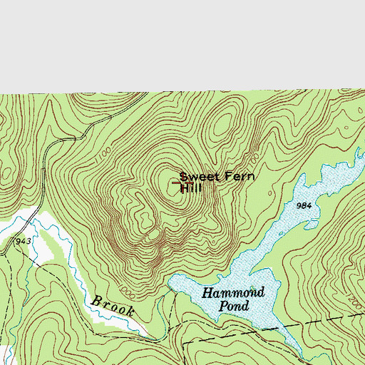 Topographic Map of Sweet Fern Hill, NY